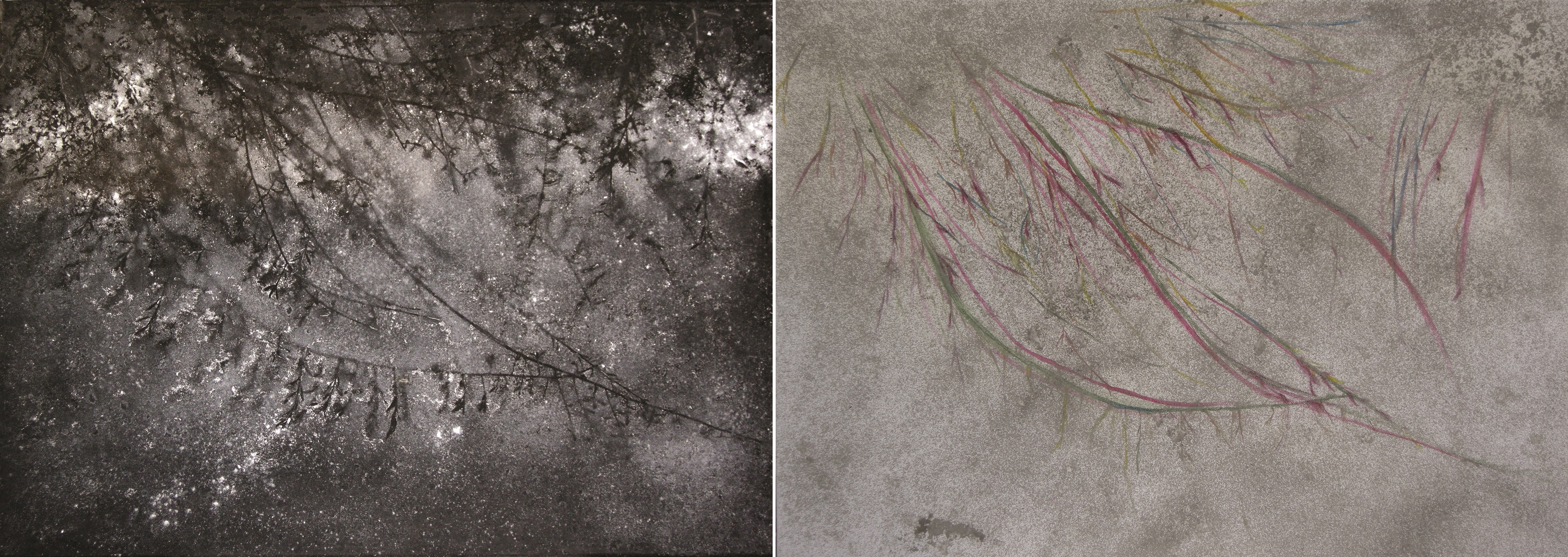 'Twin but Twin V' - 2018-19 - (from ash & wind)  Ash & Mixed media - 50 x 140 cms